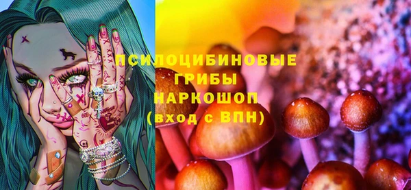 мдпв Балахна